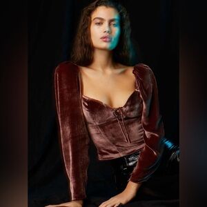 Aritzia Wilfred Novella velvet blouse size 10